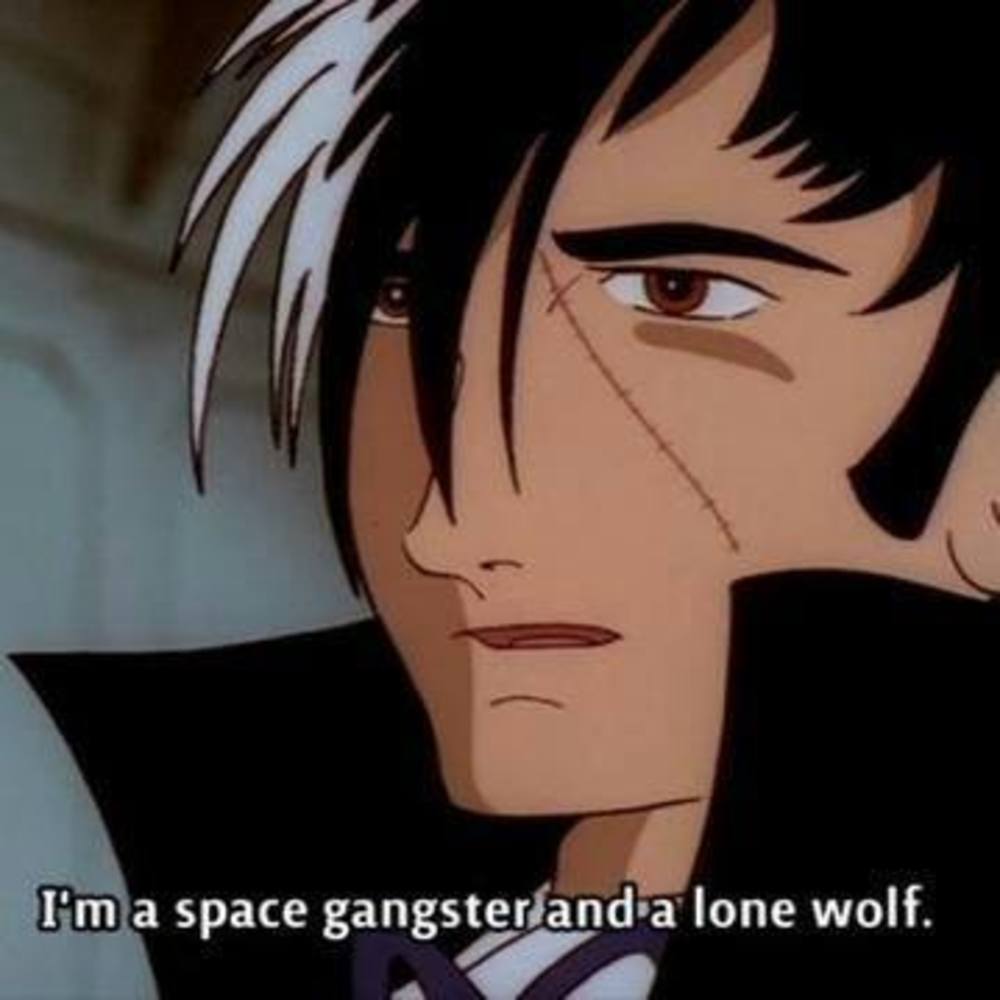 Meet your Posher, Noel